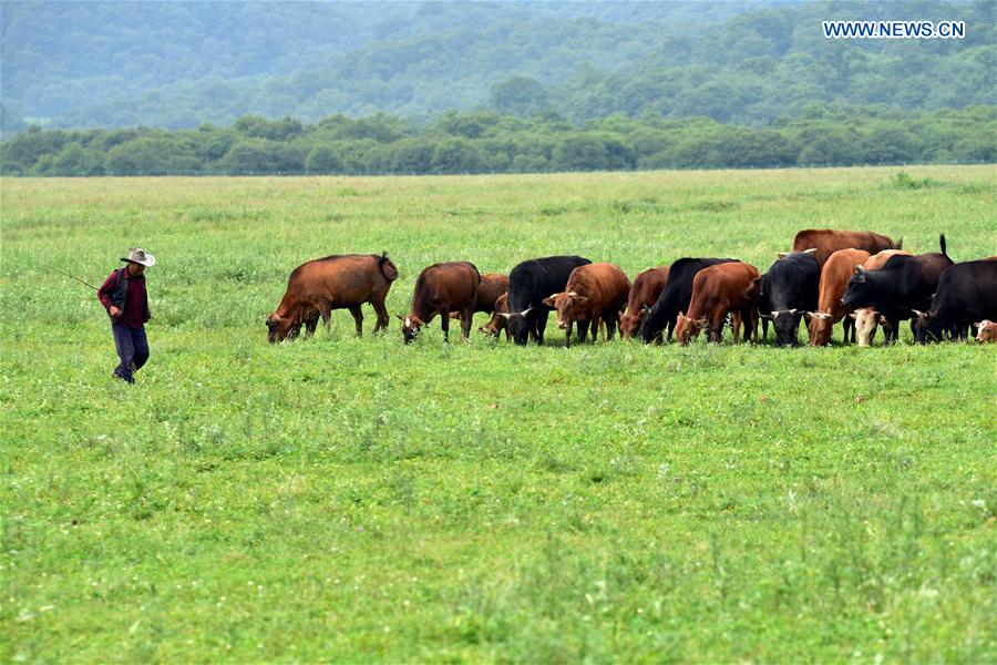 China's Hubei Shennongjia added to World Heritage List