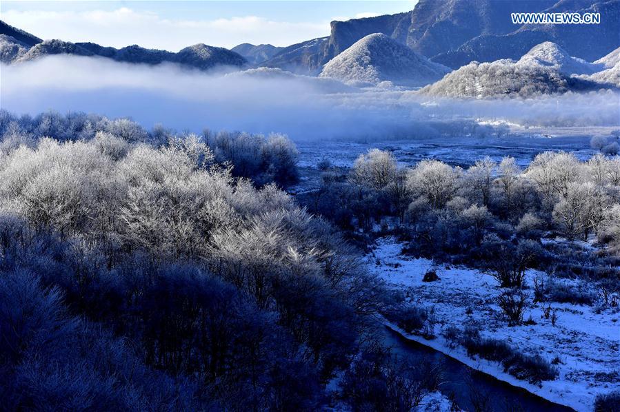 China's Hubei Shennongjia added to World Heritage List