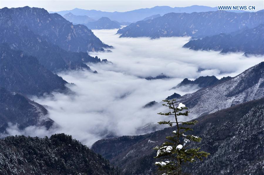 China's Hubei Shennongjia added to World Heritage List