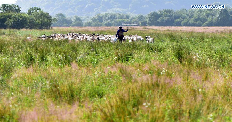 China to step up protection at Shennongjia UNESCO site