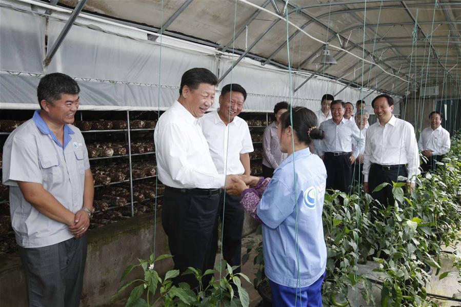 Xi urges inclusive development on Ningxia tour