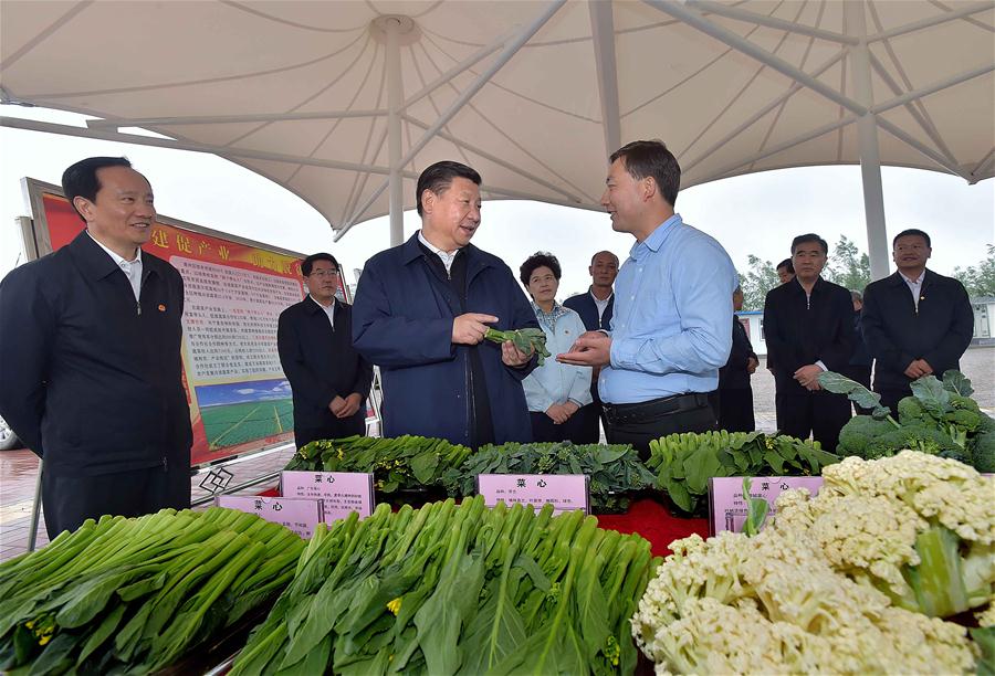 Xi urges inclusive development on Ningxia tour