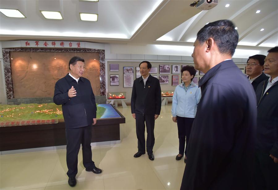 Xi urges inclusive development on Ningxia tour