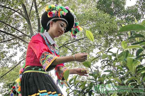 Beautiful Scenery in Huanglong Mountain