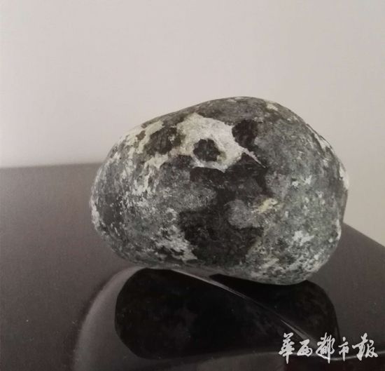 Rare stone resembling panda found in Sichuan