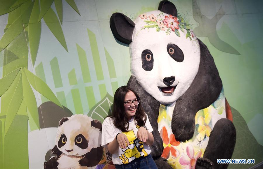 Panda subway train debuts in bear's home province