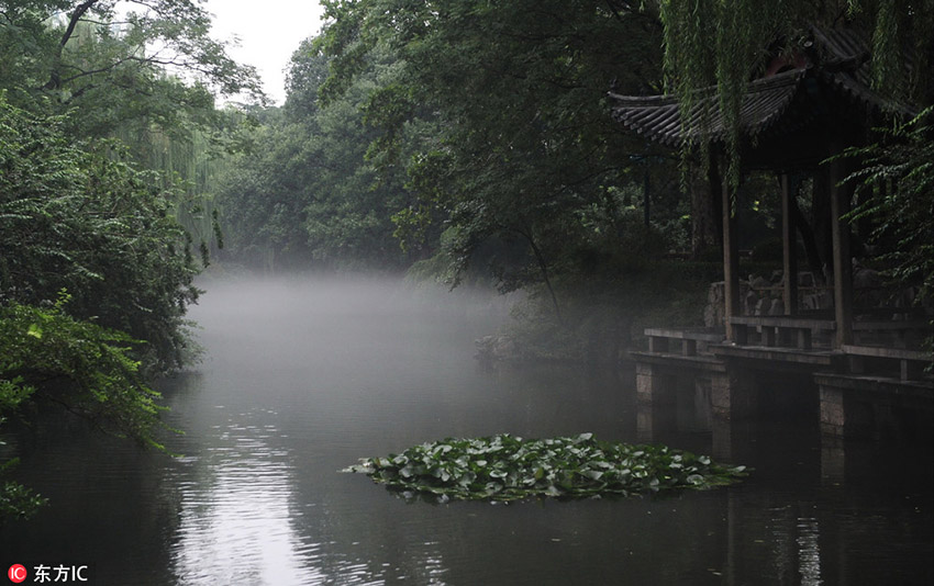 Beautiful scenery of Jinan's Spouting Spring