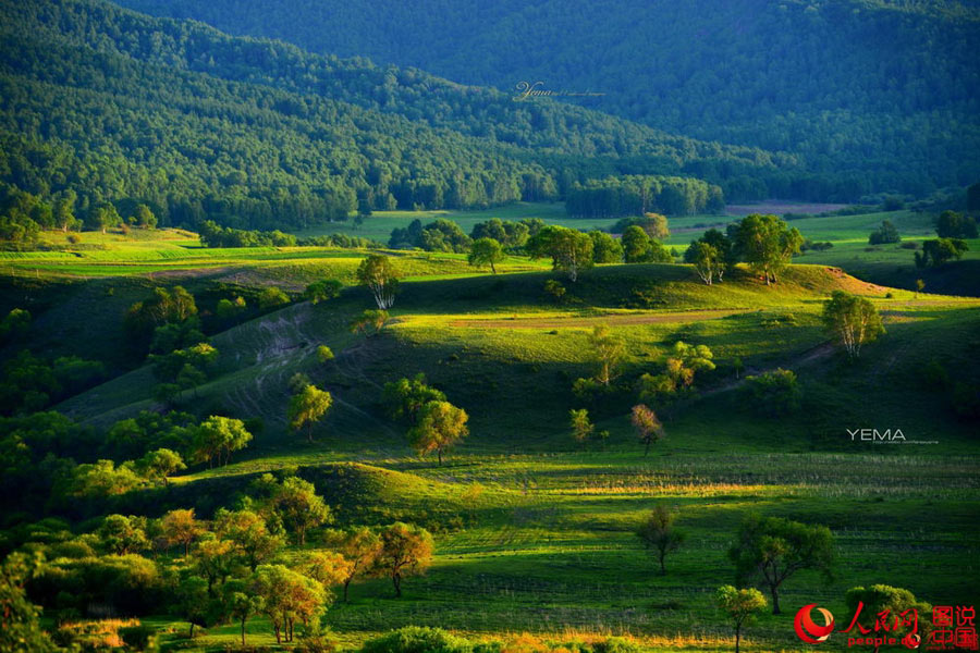 Intoxicating early autumn scenery in northern China