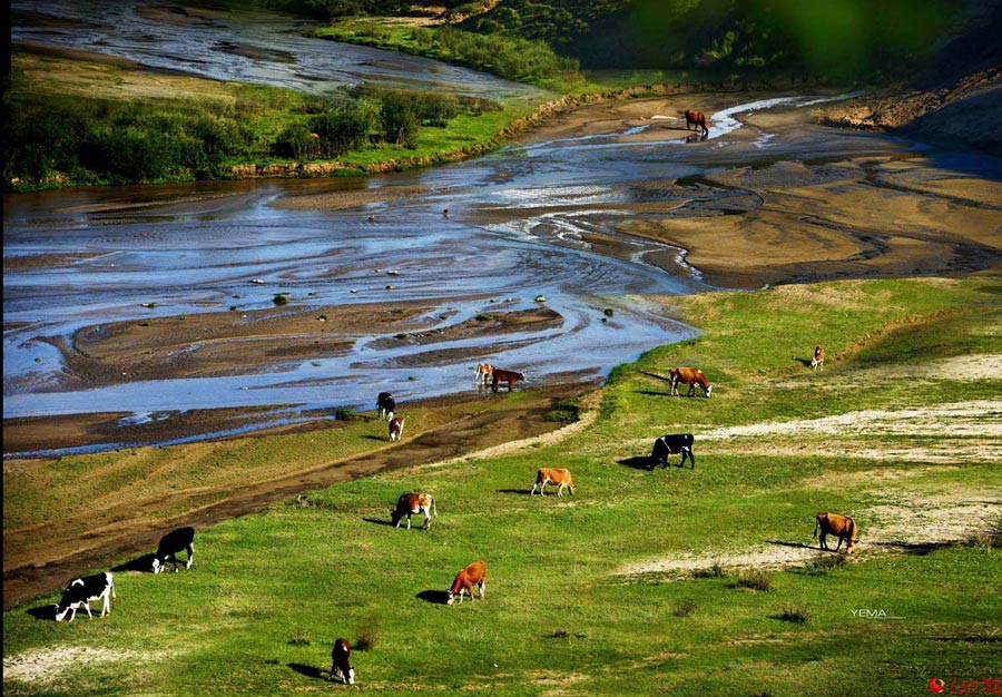 Intoxicating early autumn scenery in northern China