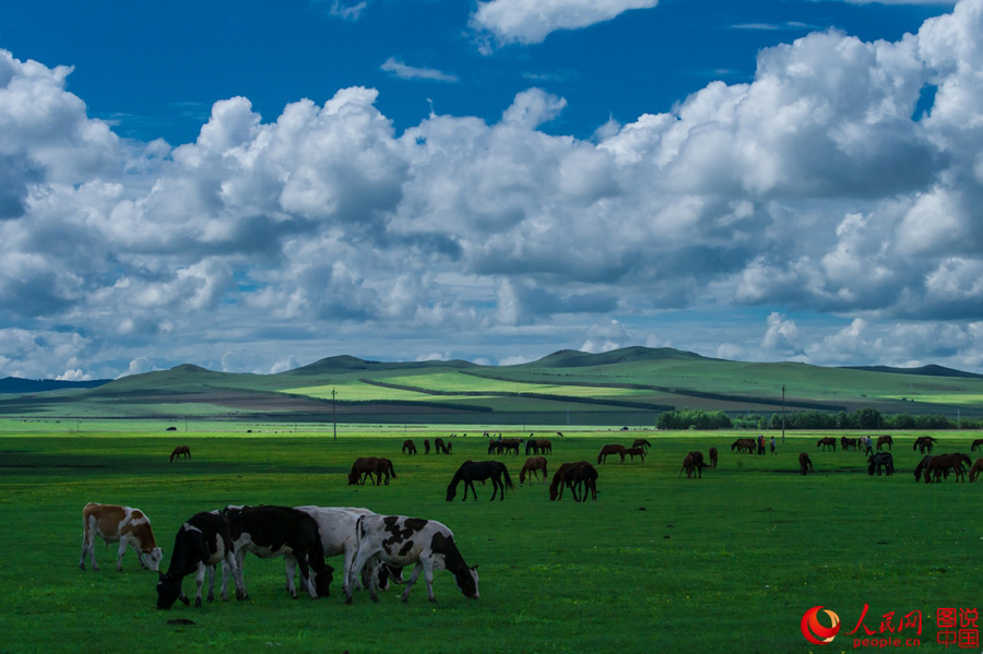 Intoxicating early autumn scenery in northern China