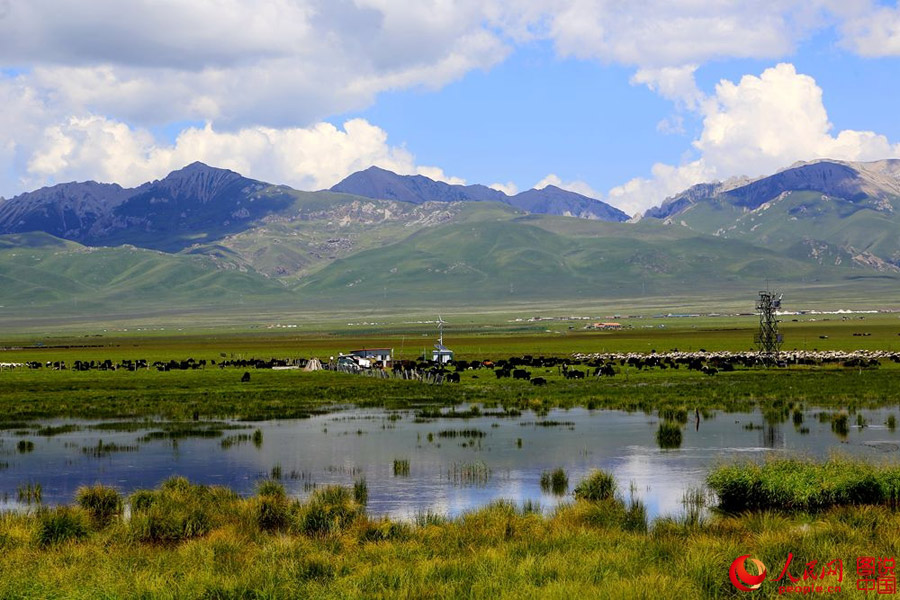 Intoxicating early autumn scenery in northern China