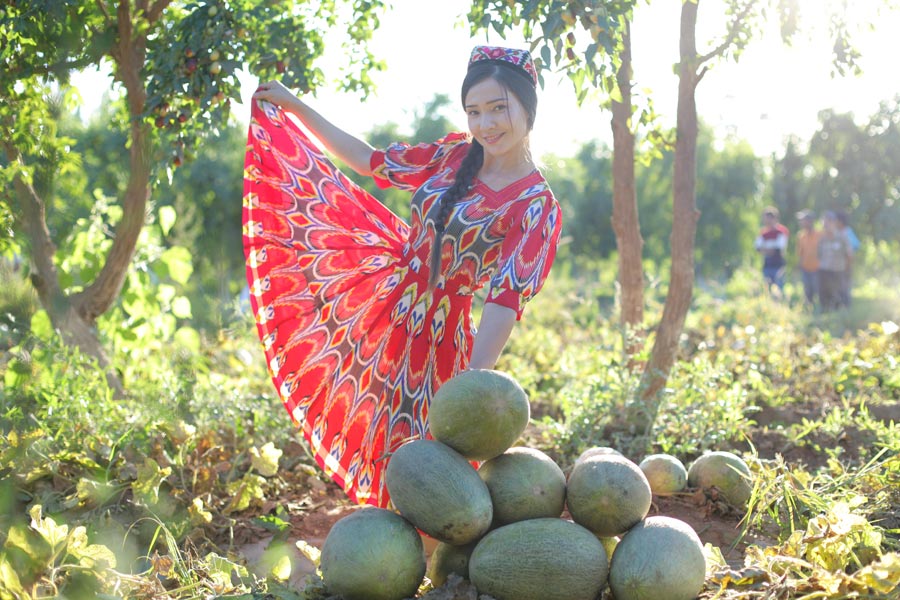 Uyghur village official models for melon harvest