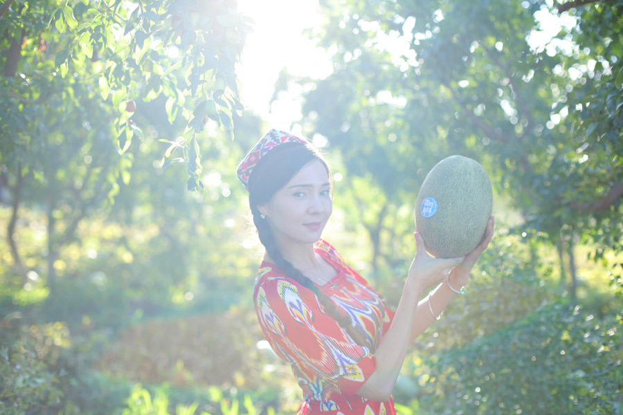 Uyghur village official models for melon harvest