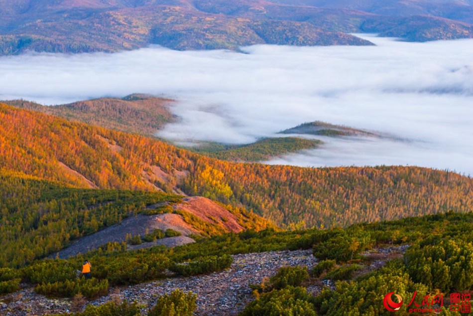 Breathtaking autumn scenery of Greater Khingan 