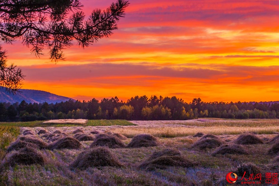 Breathtaking autumn scenery of Greater Khingan 