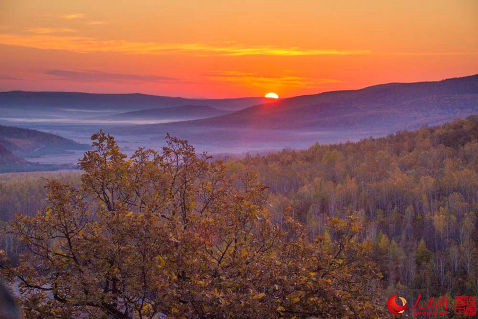 Breathtaking autumn scenery of Greater Khingan 