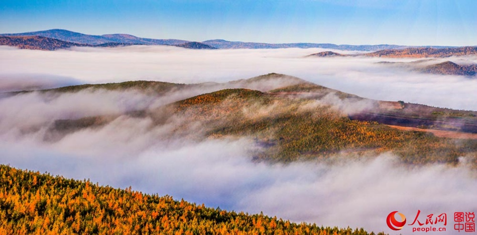 Breathtaking autumn scenery of Greater Khingan 