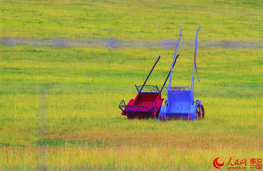 Summertime beauty of Hulun Buir grassland