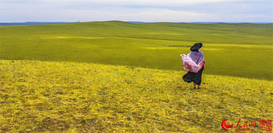 Summertime beauty of Hulun Buir grassland