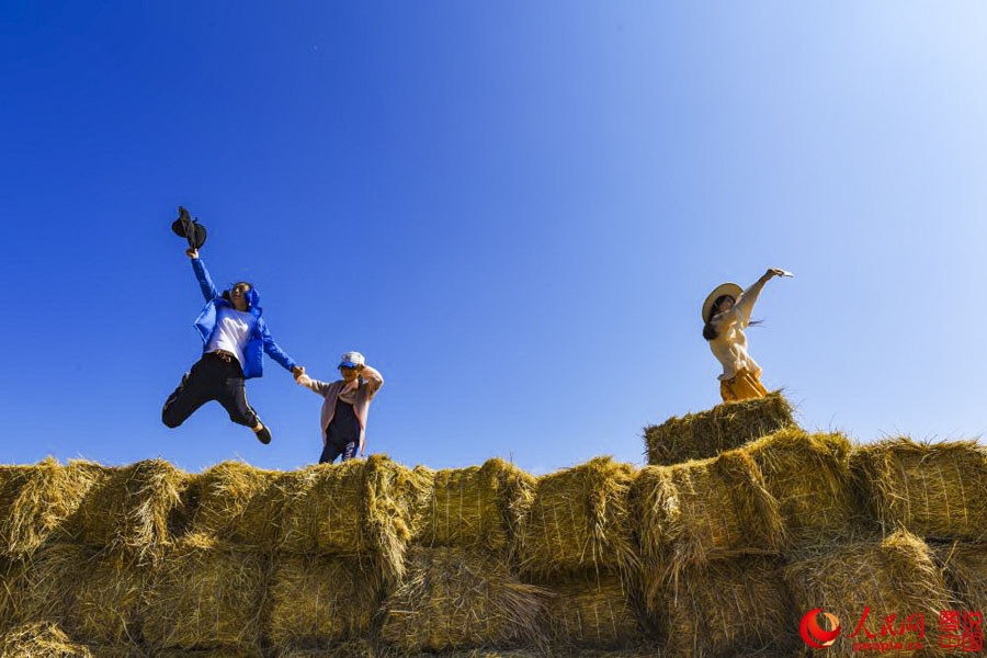 Summertime beauty of Hulun Buir grassland