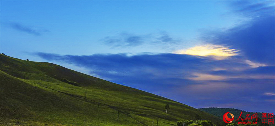 Summertime beauty of Hulun Buir grassland