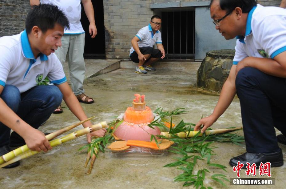 Giant panda 'Panpan' turns 31