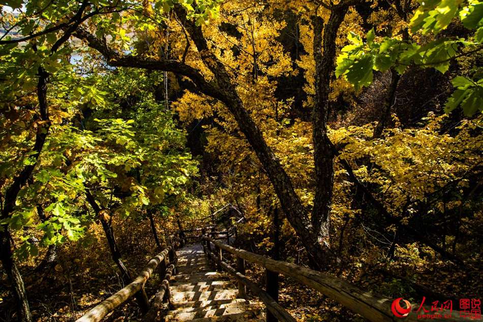 Magnificent autumn scenery of Huma River in northeast China