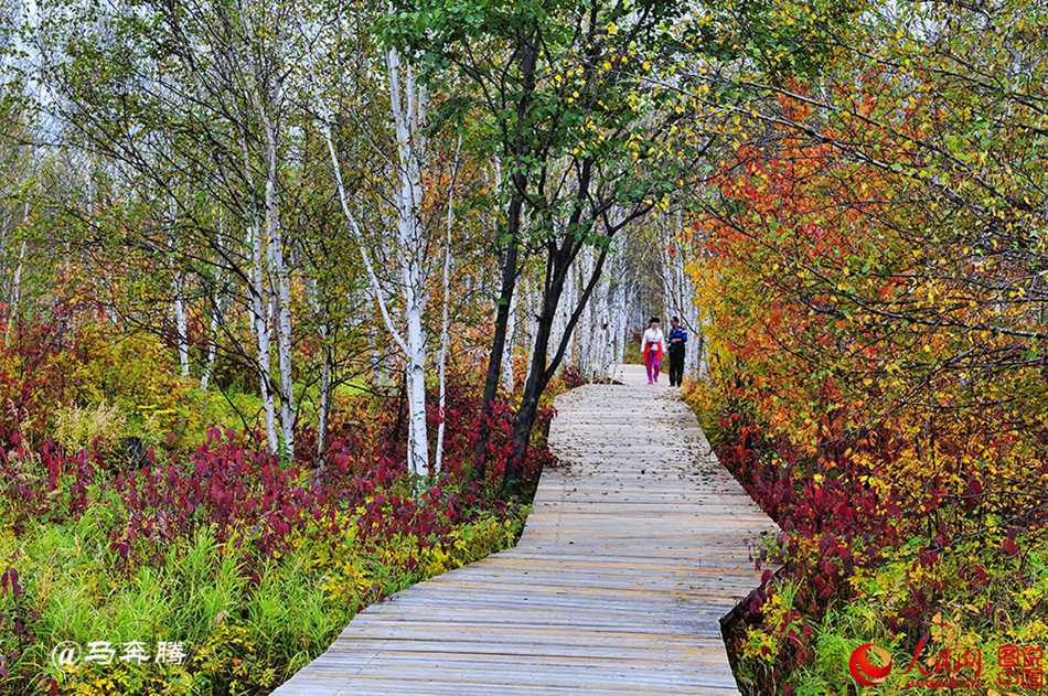 Fantastic autumn scenery of Mohe County