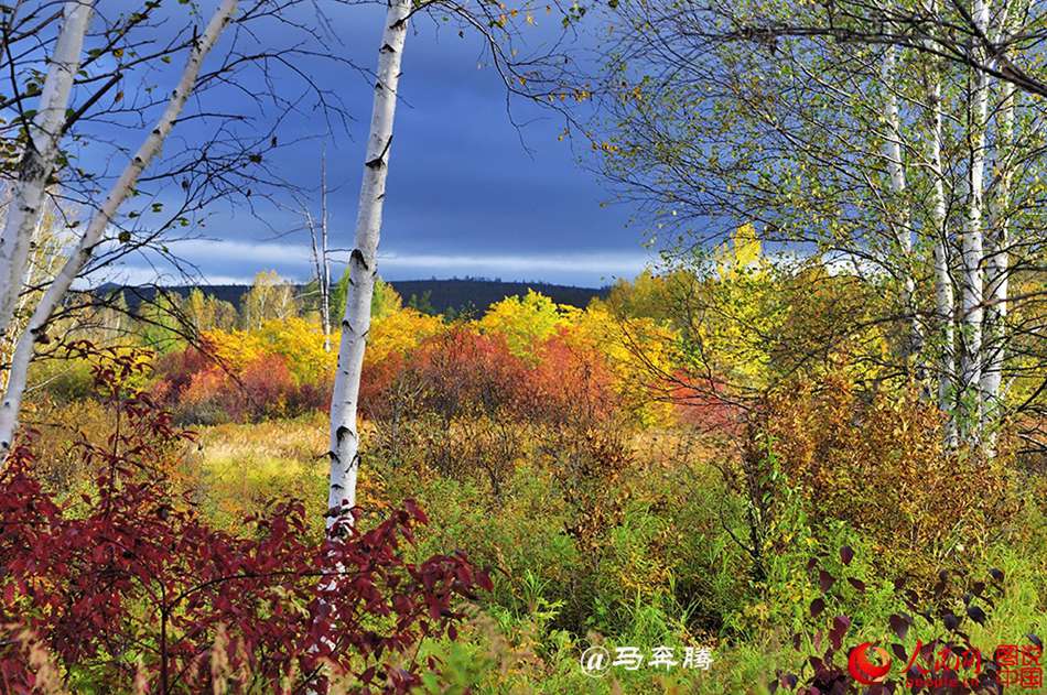 Fantastic autumn scenery of Mohe County