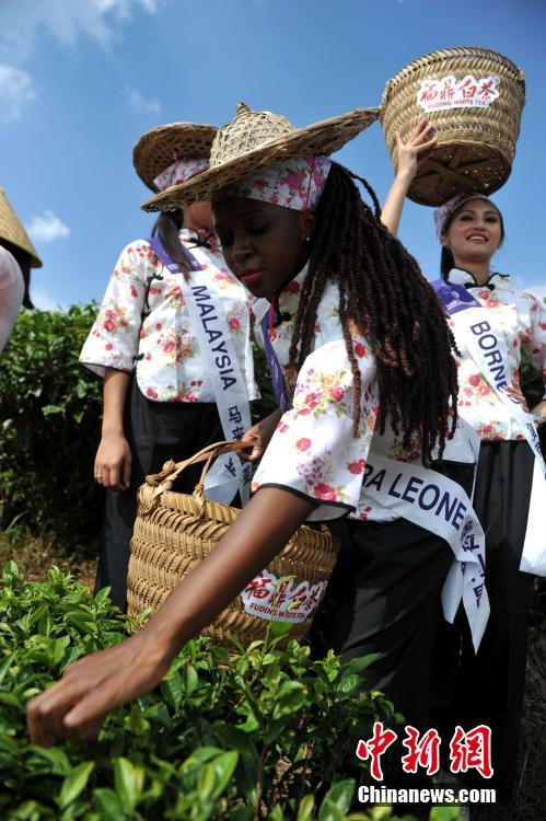 2016 Miss Tourism finalists visit Fujian