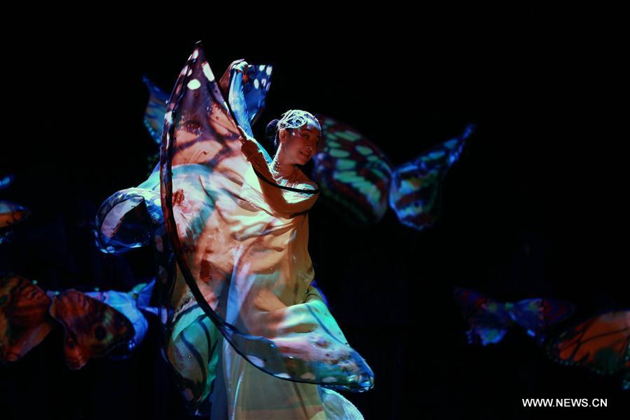 An artist from China Disabled People's Performing Art Troupe dances in 'Butterfly Lovers' during the performance of 'Chinese Dream, My Dream' in Neu Isenburg near Frankfurt, Germany, Sept. 19, 2016. (Xinhua/Luo Huanhuan) 