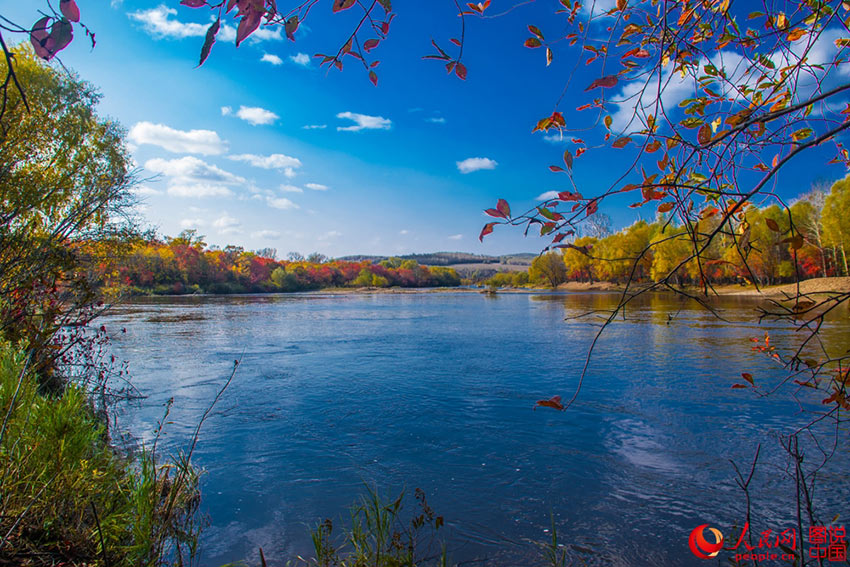 Colorful Greater Khingan Mountains in autumn