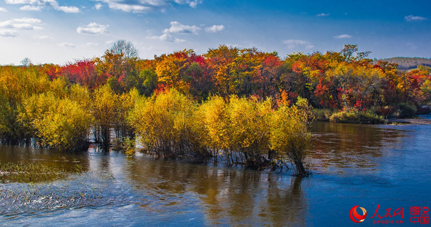 Colorful Greater Khingan Mountains in autumn