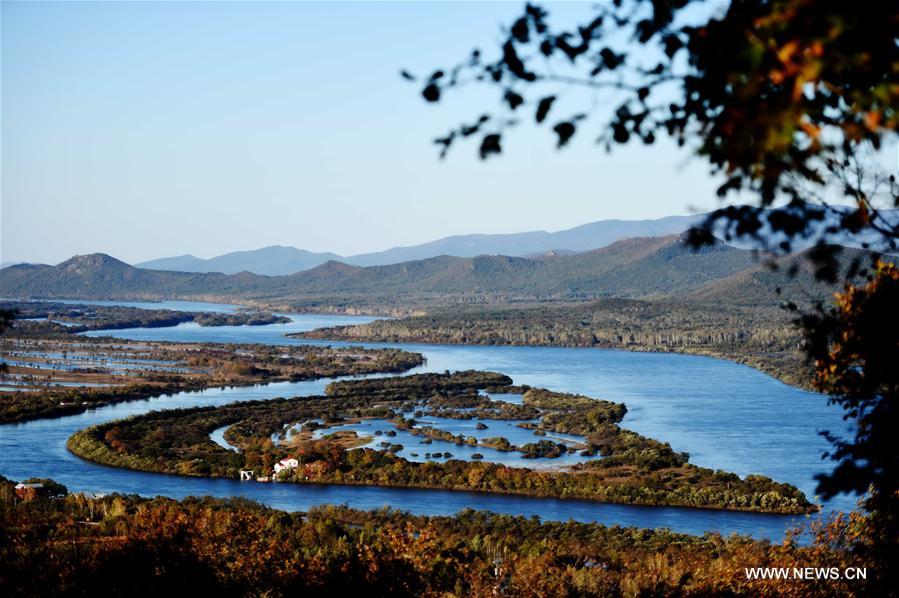 Photo taken on Sept. 30, 2016 shows the autumn scenery in forest of Yichun, northeast China's Heilongjiang Province.