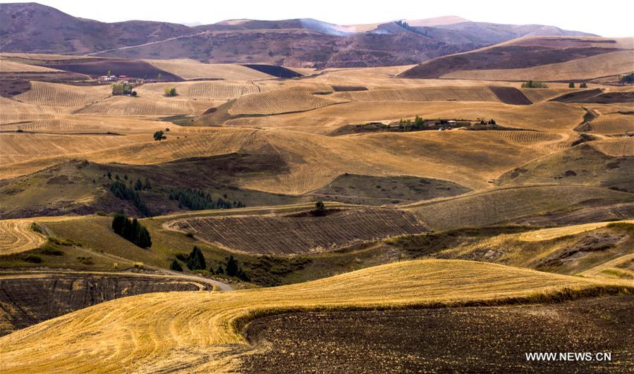 Photo taken on Sept. 30, 2016 shows the autumn scenery of a scenic spot in Qitai County of northwest China's Xinjiang Uygur Autonomous Region.