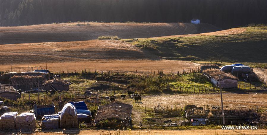 Photo taken on Sept. 30, 2016 shows the autumn scenery of a scenic spot in Qitai County of northwest China's Xinjiang Uygur Autonomous Region.