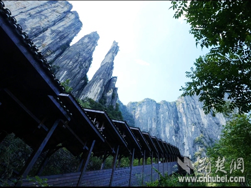 World's longest sightseeing escalator awaits you in Central China