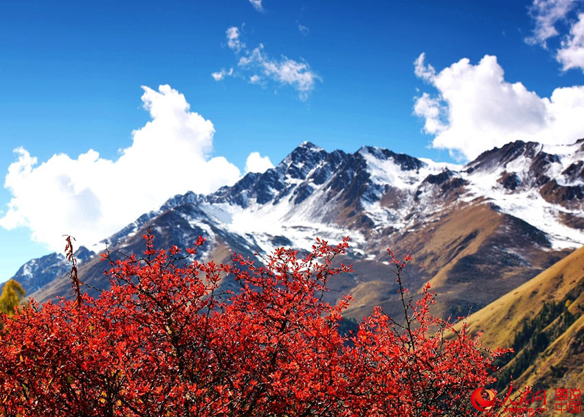 Miyaluo scenic spot in autumn