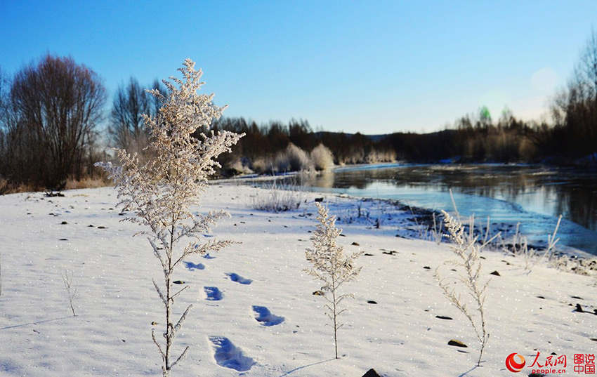 Morning frost in northeastern China