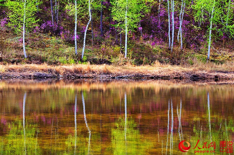 Scenery of arctic village in Heilongjiang