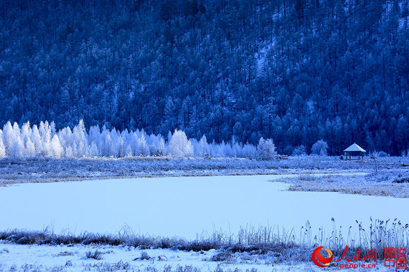 Scenery of arctic village in Heilongjiang