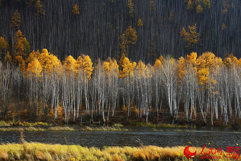 Scenery of arctic village in Heilongjiang