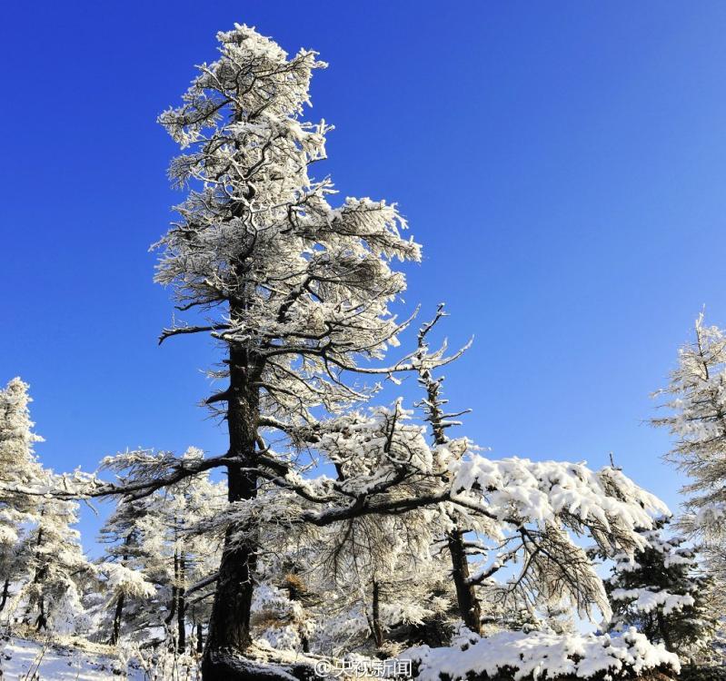 Magnificent snowscape in Malun grassland