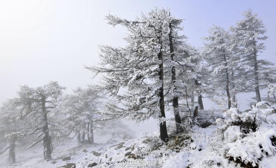 Magnificent snowscape in Malun grassland