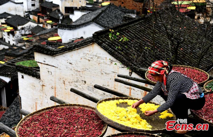 'Shaiqiu' tradition, a beautiful token of Chinese agrarian culture