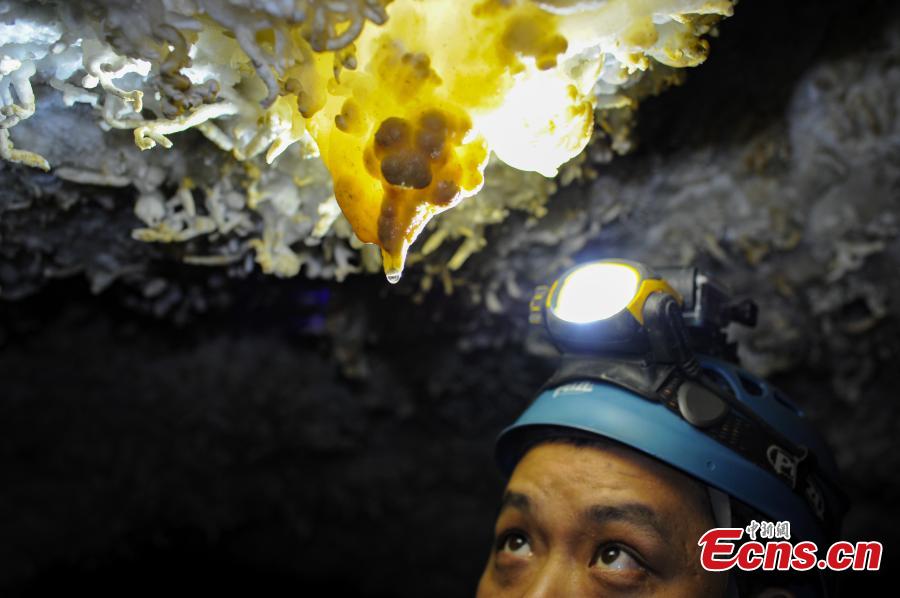 China's longest karst caverns stretch for 186.333 km