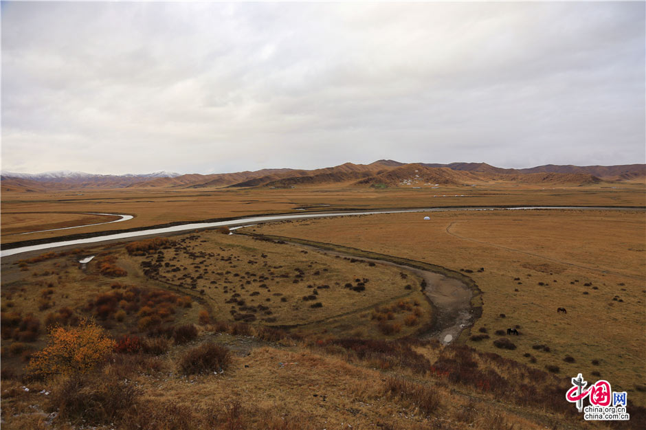 Autumn scenery of Hongyuan Grassland in Sichuan