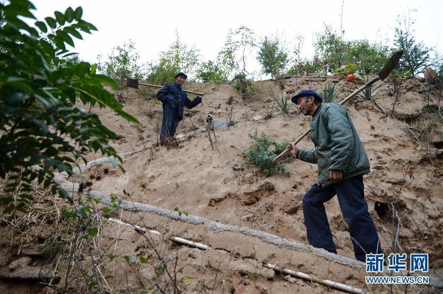 Twins in Gansu plant 70,000-sqare-meter forest