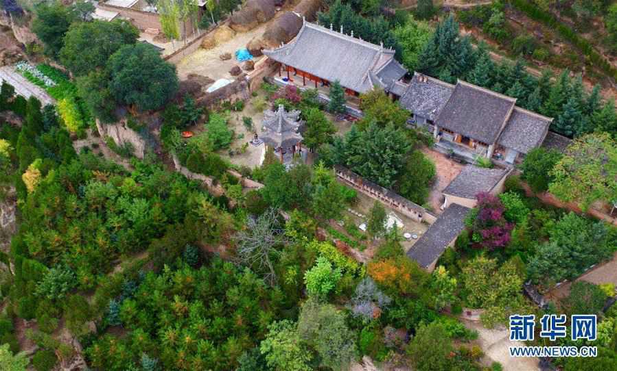 Twins in Gansu plant 70,000-sqare-meter forest