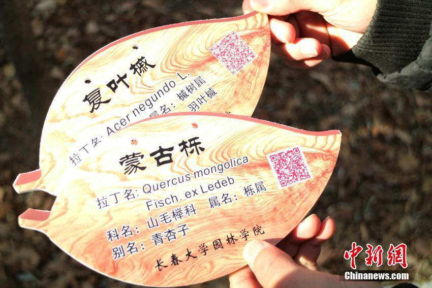 Trees given 'ID cards' at Changchun University